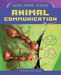 Cover Art for Animal Communication