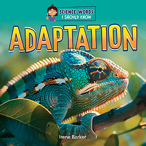 Cover Art for Adaptation