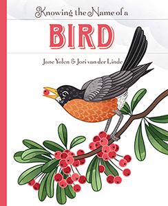 Cover Art for Knowing the Name of a Bird