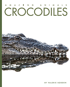 Cover Art for Crocodiles