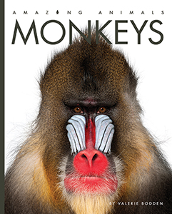 Cover Art for Monkeys