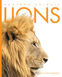 Cover Art for Lions