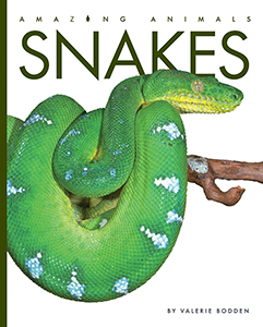 Cover Art for Snakes