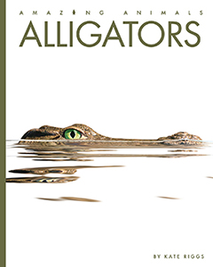 Cover Art for Alligators