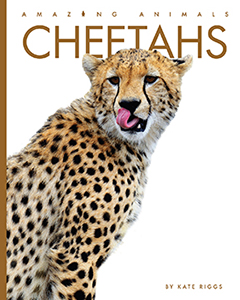 Cover Art for Cheetahs