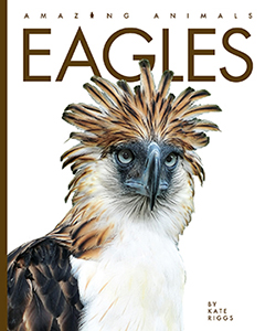 Cover Art for Eagles