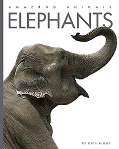 Cover Art for Elephants