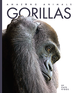 Cover Art for Gorillas