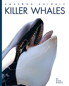 Cover Art for Killer Whales