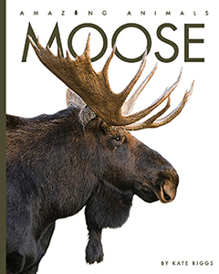 Cover Art for Moose