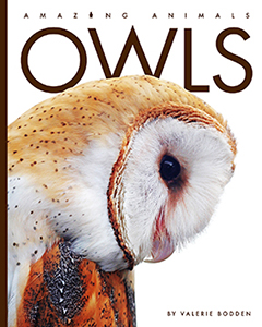 Cover Art for Owls