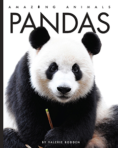 Cover Art for Pandas