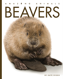 Cover Art for Beavers