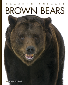 Cover Art for Brown Bears