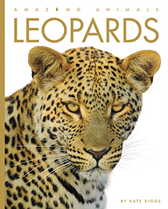 Cover Art for Leopards