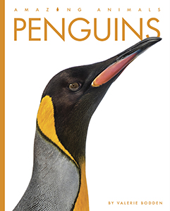 Cover Art for Penguins