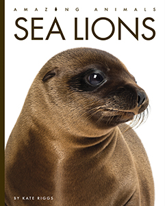 Cover Art for Sea Lions