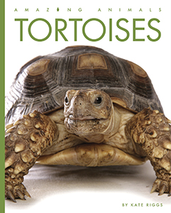 Cover Art for Tortoises