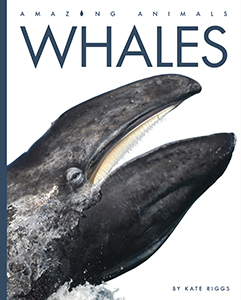 Cover Art for Whales