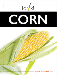 Cover Art for Corn