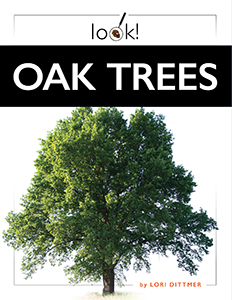 Cover Art for Oak Trees