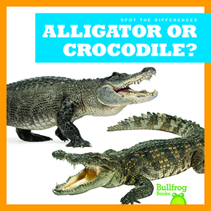 Cover Art for Alligator or Crocodile?