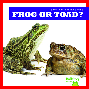Cover Art for Frog or Toad?