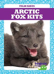 Cover Art for Arctic Fox Kits