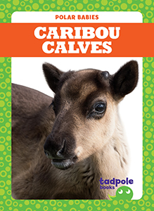 Cover Art for Caribou Calves