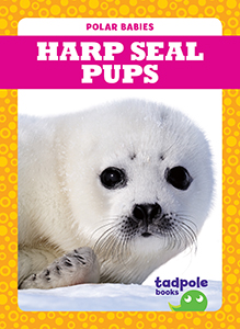 Cover Art for Harp Seal Pups