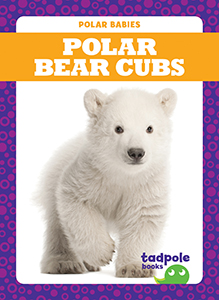 Cover Art for Polar Bear Cubs