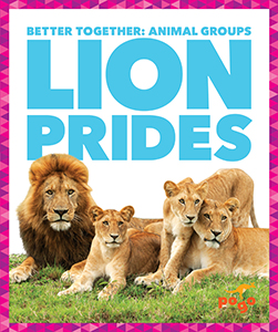 Cover Art for Lion Prides