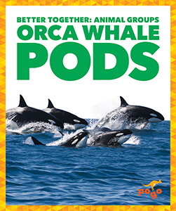Cover Art for Orca Whale Pods