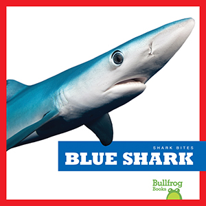 Cover Art for Blue Shark