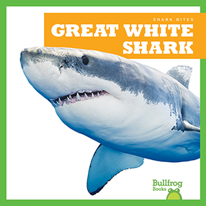 Cover Art for Great White Shark