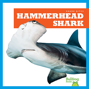 Cover Art for Hammerhead Shark