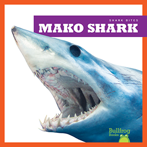Cover Art for Mako Shark