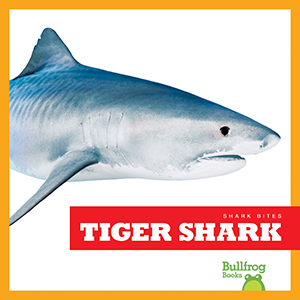 Cover Art for Tiger Shark