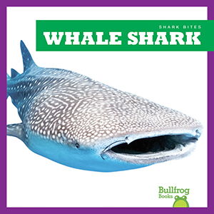 Cover Art for Whale Shark
