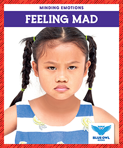 Cover Art for Feeling Mad