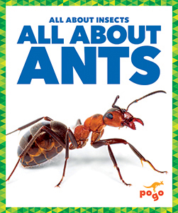 Cover Art for All About Ants