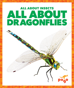Cover Art for All About Dragonflies