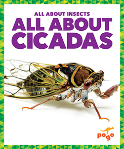 Cover Art for All About Cicadas