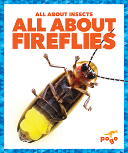 Cover Art for All About Fireflies