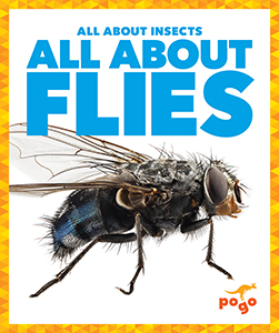 Cover Art for All About Flies