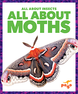 Cover Art for All About Moths