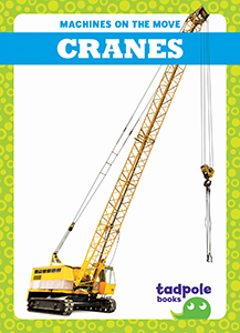 Cover Art for Cranes