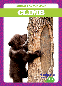 Cover Art for Climb