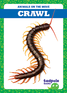 Cover Art for Crawl