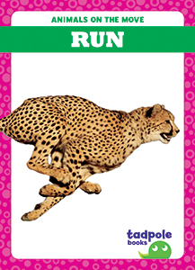 Cover Art for Run